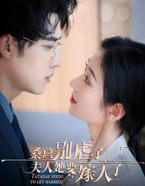 青灰线 热播电视剧全集在线观看